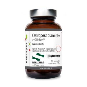 KENAY Milk thistle Siliphos (60 caps) - Viking Supplements