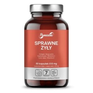PANASEUS «Venas eficientes» (50 cápsulas) - Viking Supplements