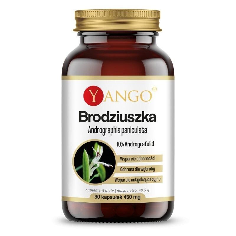 YANGO Andrographis paniculata (90 cápsulas) - Viking Supplements