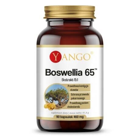 YANGO Boswellia 65 (90 cápsulas) - Viking Supplements