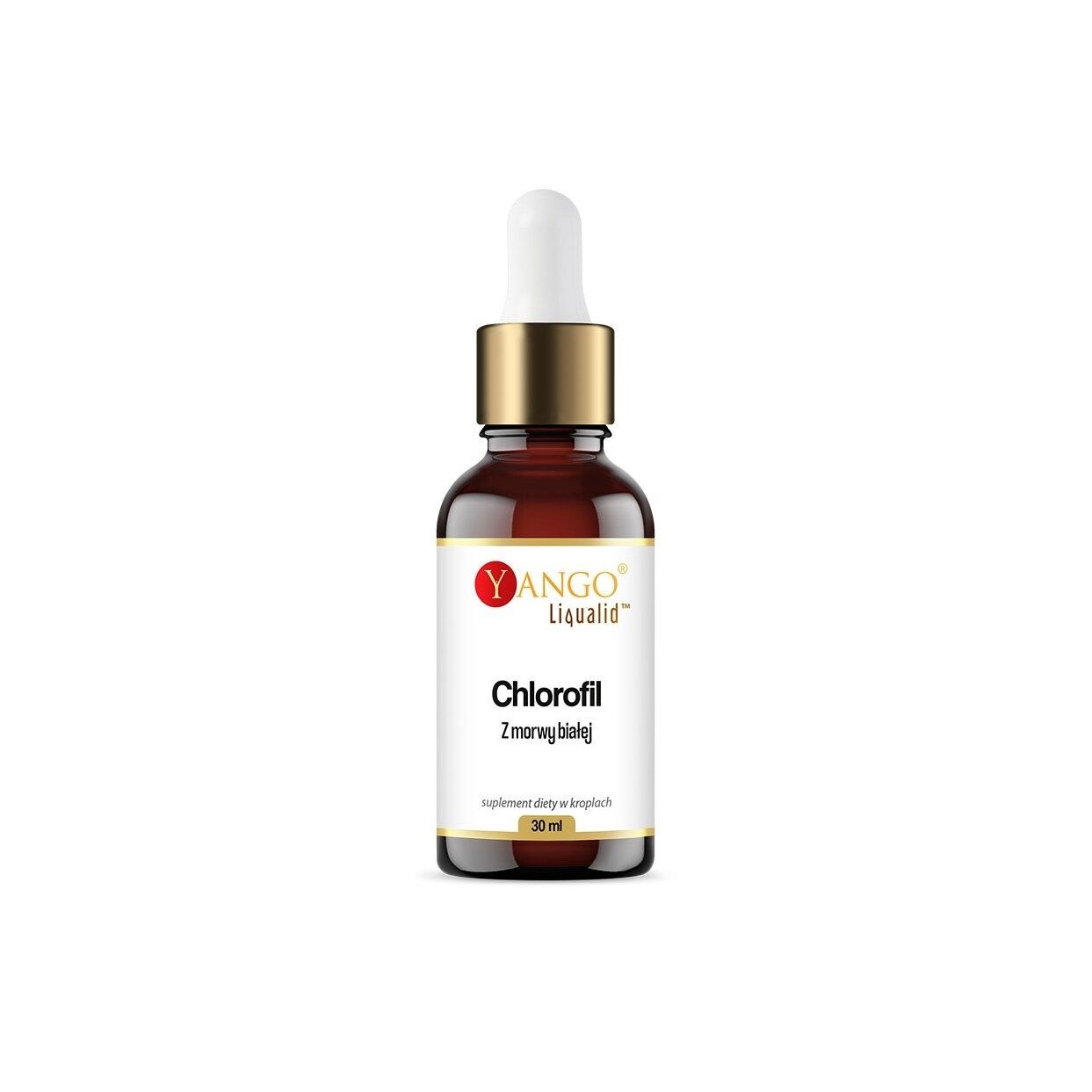 YANGO Clorofila de morera blanca en gotas (30 ml / 1 fl. oz.) - Viking Supplements